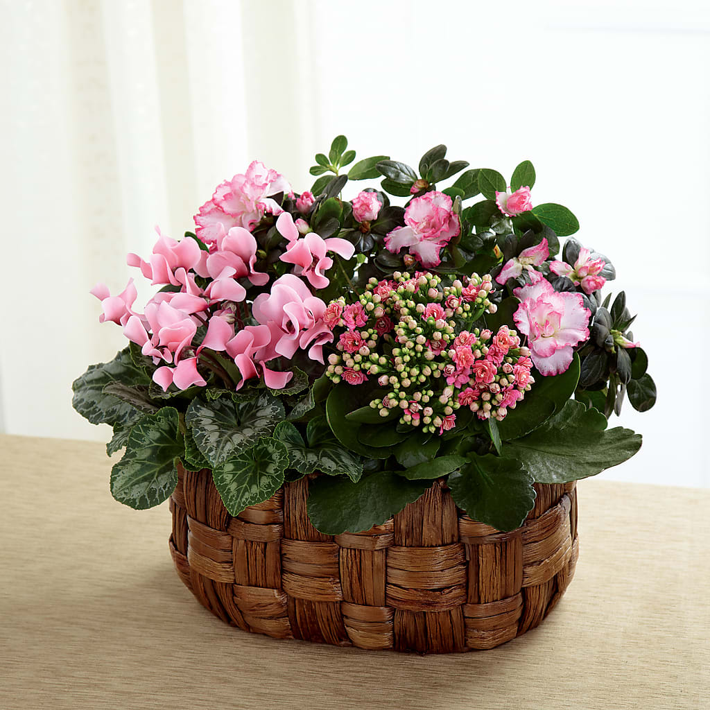 Pink Assortment – White Eagle Flowers, Chicago IL