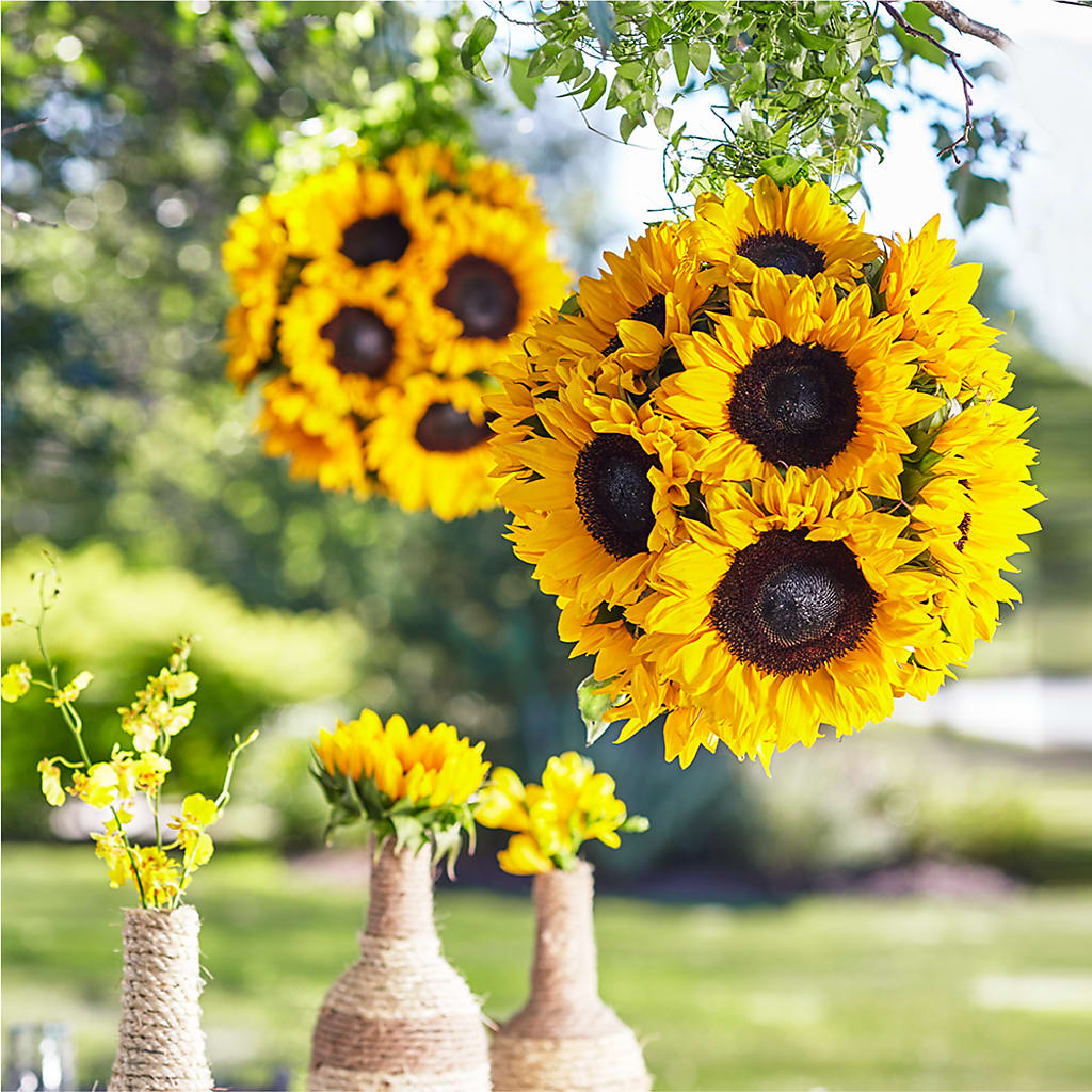 Sublime Garden Hanging Arrangement – White Eagle Flowers, Chicago IL