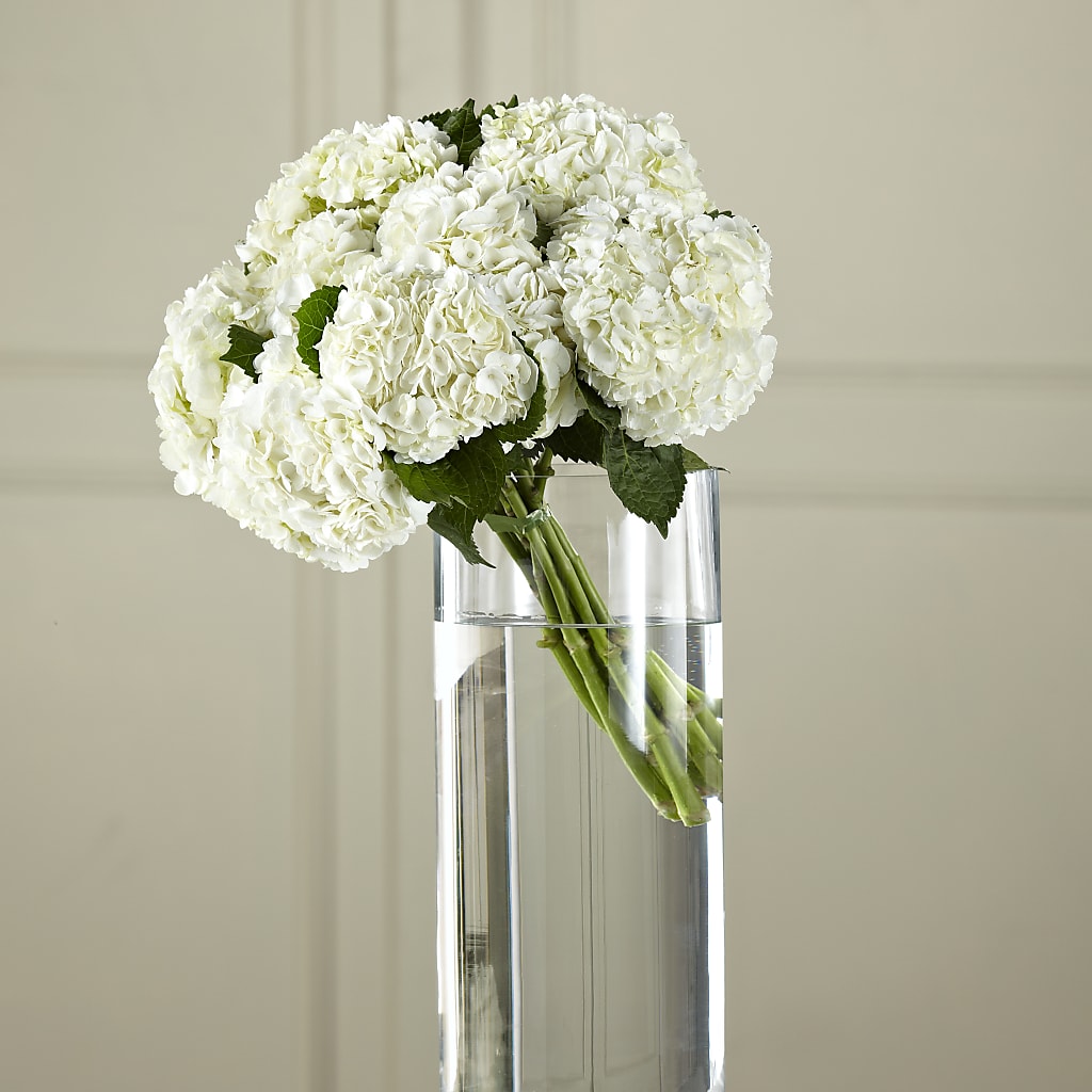 White Hydrangea Hand-Tied Bouquet – White Eagle Flowers, Chicago IL