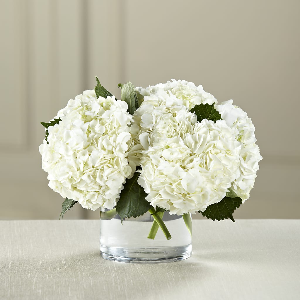 White Hydrangea Bouquet – White Eagle Flowers, Chicago IL