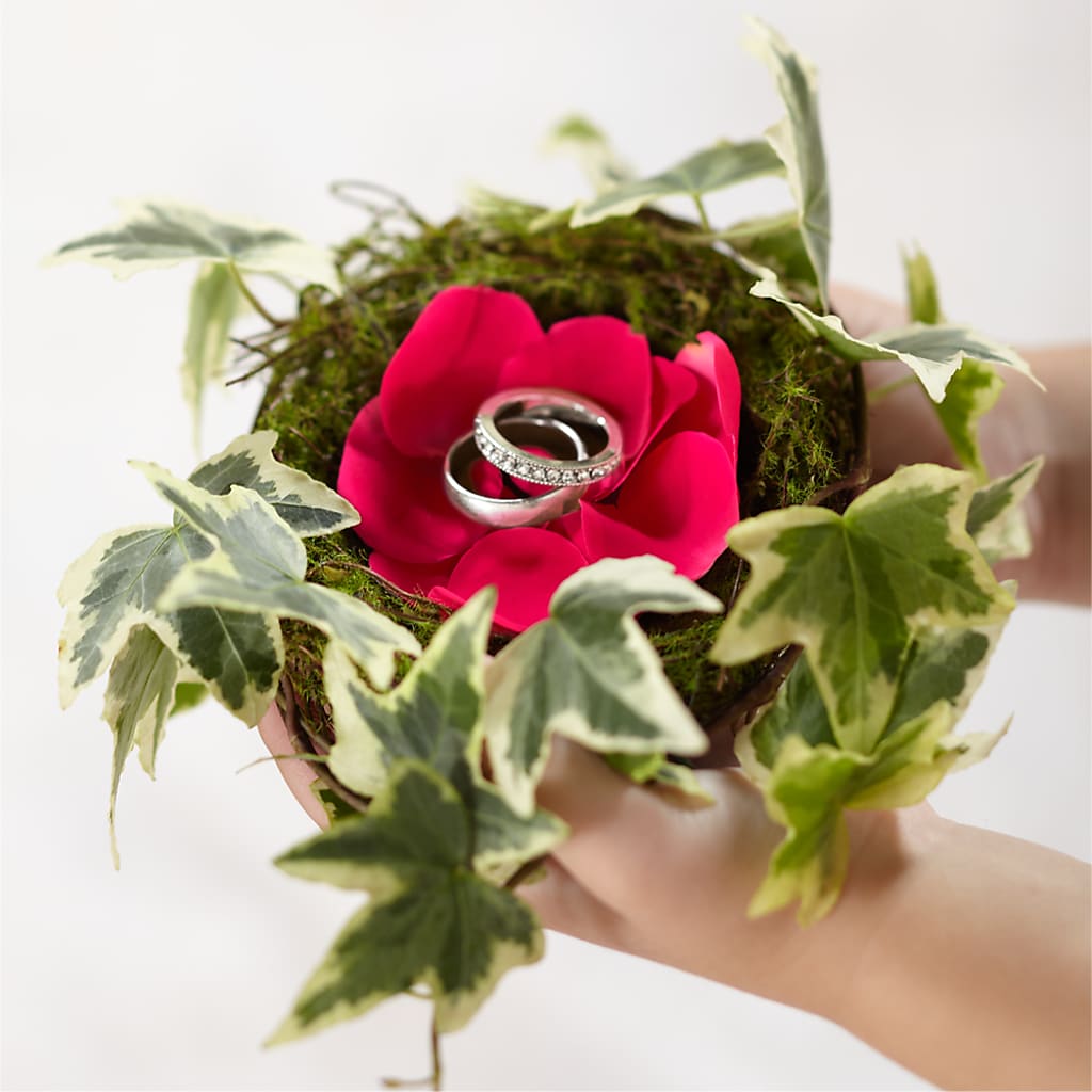 Lila Rose Ring Nest – White Eagle Flowers, Chicago IL