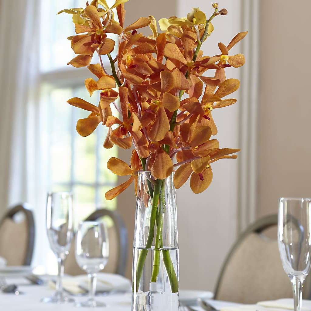 Orange Mokara Bud Vase – White Eagle Flowers, Chicago IL
