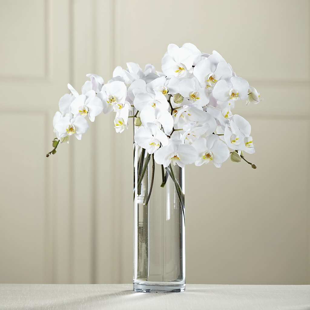 White Phalaenopsis Bouquet – White Eagle Flowers, Chicago IL