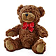 Adorable Plush Bear –  White Eagle Flowers, Chicago IL