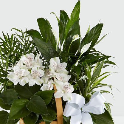Peace & Serenity Dishgarden –  White Eagle Flowers, Chicago IL