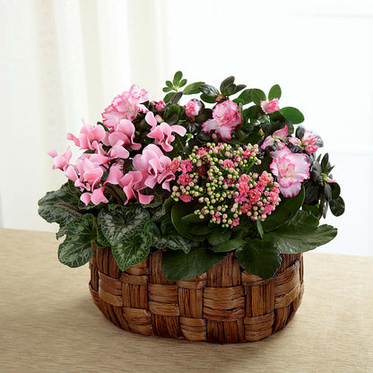 Pink Assortment –  White Eagle Flowers, Chicago IL