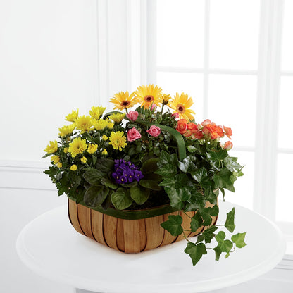 Gentle Blossoms Basket –  White Eagle Flowers, Chicago IL