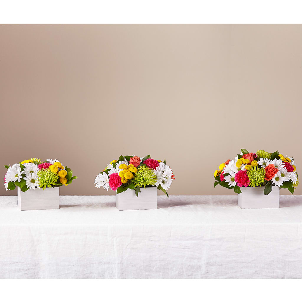 Sorbet Bouquet –  White Eagle Flowers, Chicago IL
