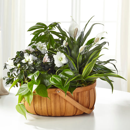 Serene Dishgarden –  White Eagle Flowers, Chicago IL