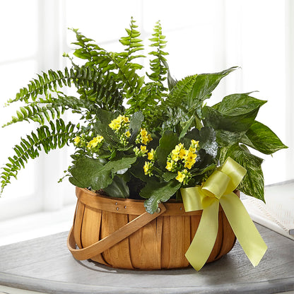 Always Dear Dishgarden –  White Eagle Flowers, Chicago IL