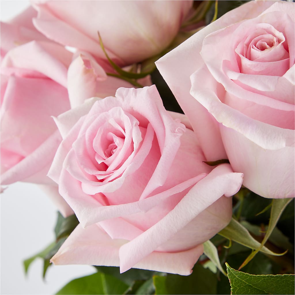 Picture Perfect Pink Rose Bouquet –  White Eagle Flowers, Chicago IL