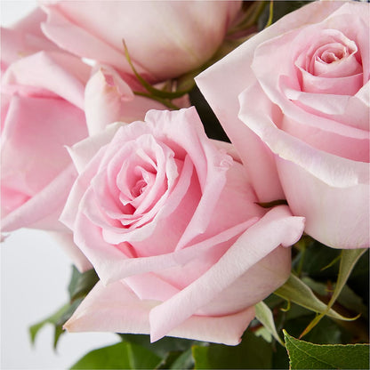 Picture Perfect Pink Rose Bouquet –  White Eagle Flowers, Chicago IL