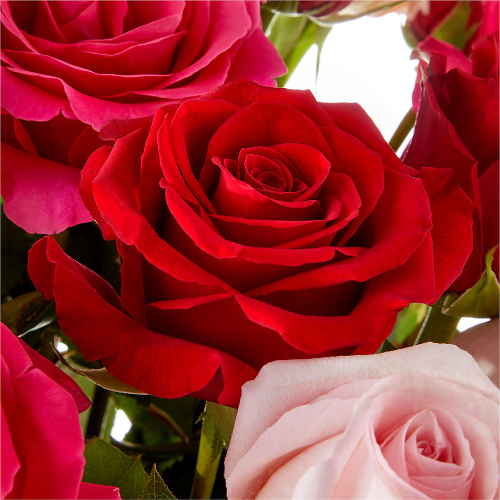 Love Notes Rose Bouquet –  White Eagle Flowers, Chicago IL