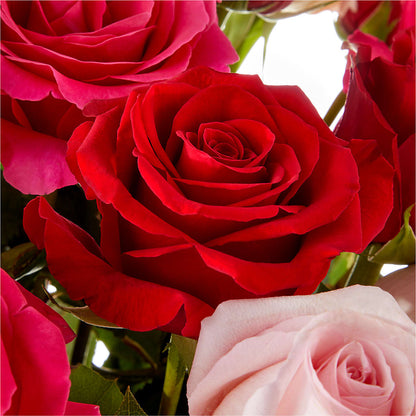 Love Notes Rose Bouquet –  White Eagle Flowers, Chicago IL
