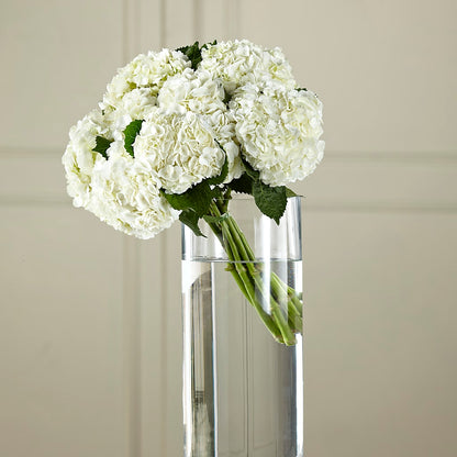 White Hydrangea Hand-Tied Bouquet –  White Eagle Flowers, Chicago IL