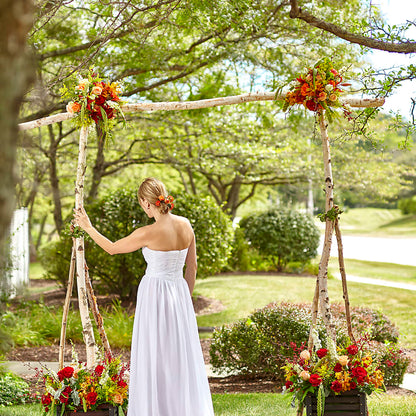 Arbor of Love Archway –  White Eagle Flowers, Chicago IL